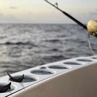 Tuna Tubes Installed in transom baitwell